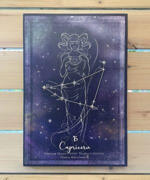 capricorn / star constellation, blue background